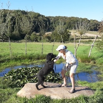 Samen spelen en werken met de hond